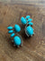 Turquoise Trails Earring