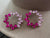 Two Toned Pink Earrings