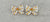 Candy Corn Bow Earrings