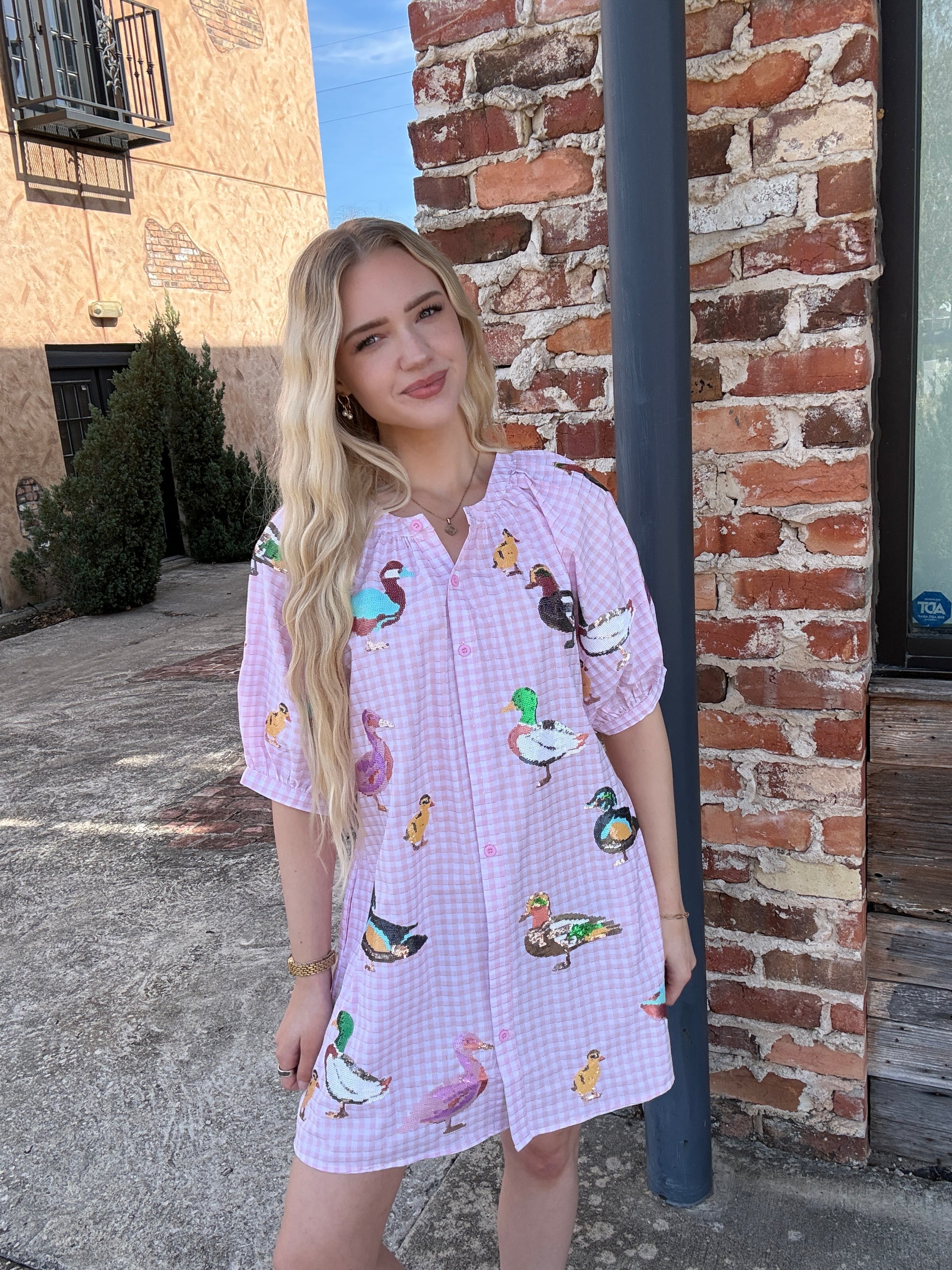 Queen of Sparkles Light Pink Gingham Scattered Duck Button Up Cotton Dress Queen of Sparkles Light Pink Gingham Scattered Duck Button Up Cotton Dress