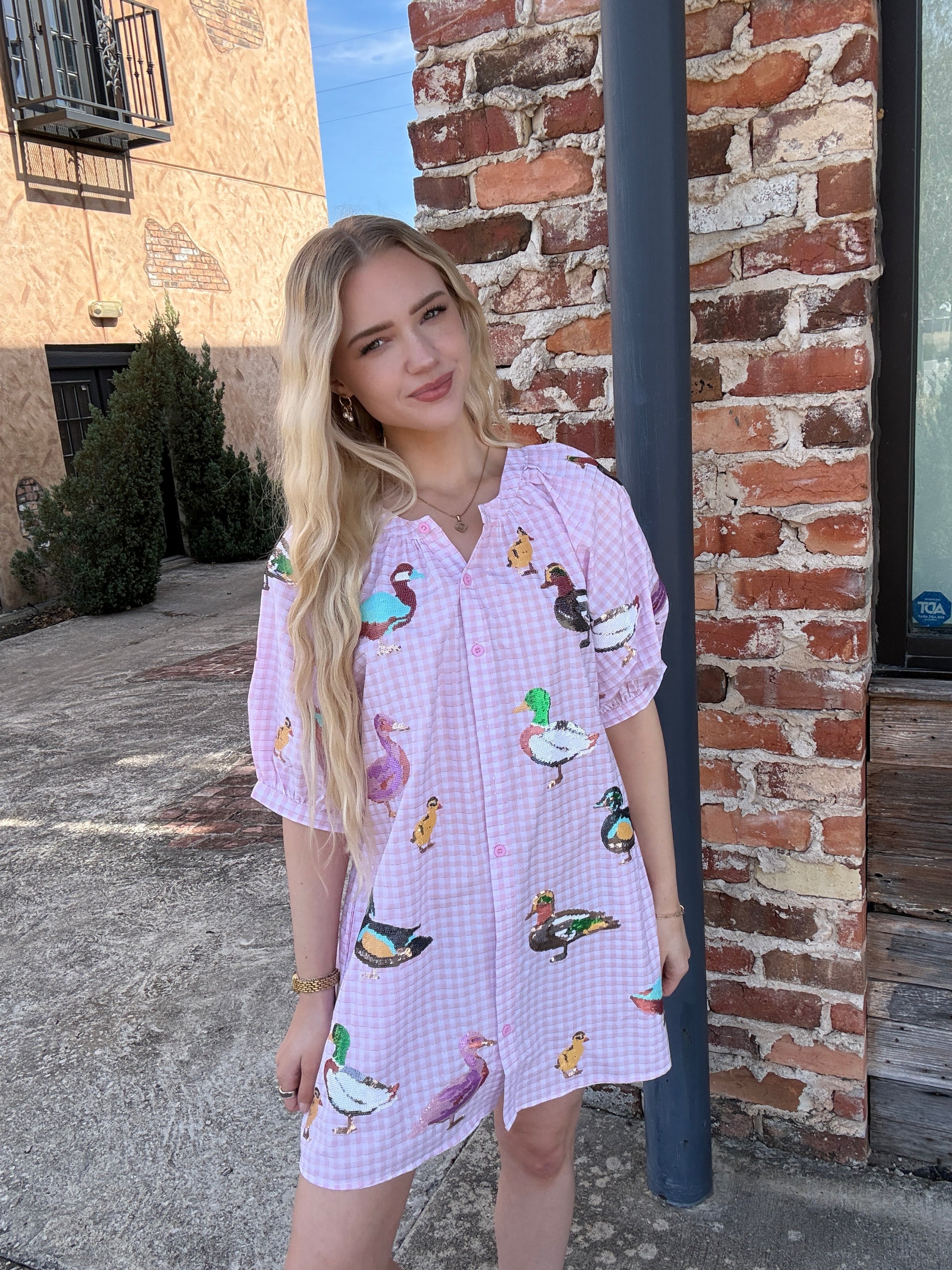 Queen of Sparkles Light Pink Gingham Scattered Duck Button Up Cotton Dress Queen of Sparkles Light Pink Gingham Scattered Duck Button Up Cotton Dress