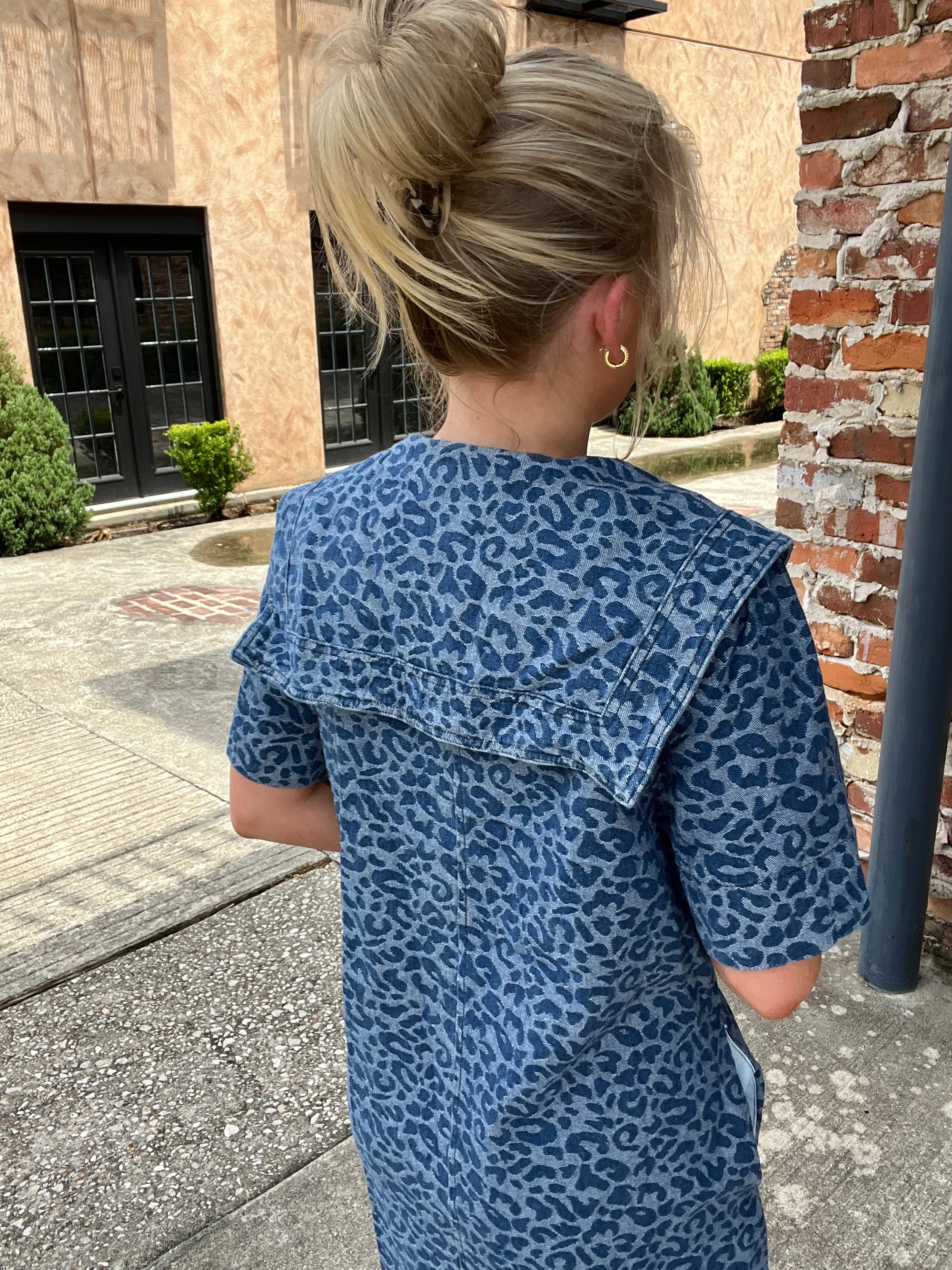 Wild Collar Dress