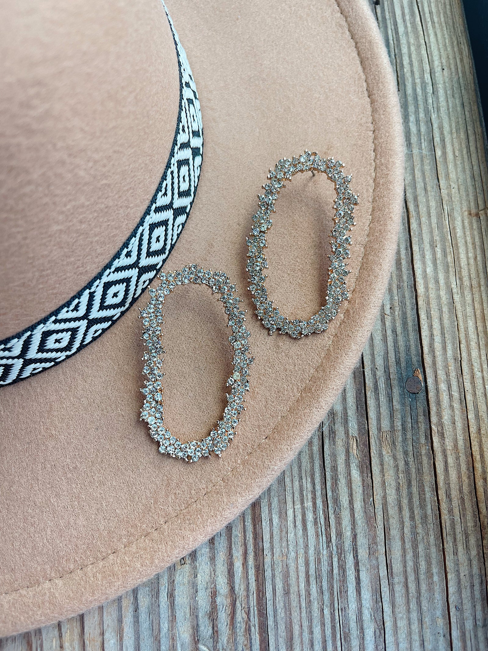 Brynn Earrings Clear